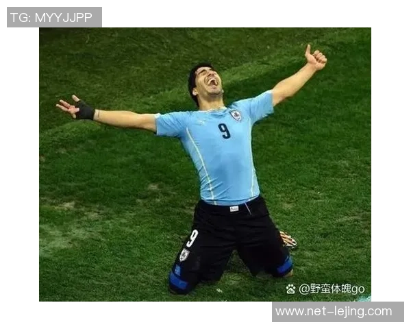 本泽马：从足球天才到传奇前锋的辉煌旅程与未来展望